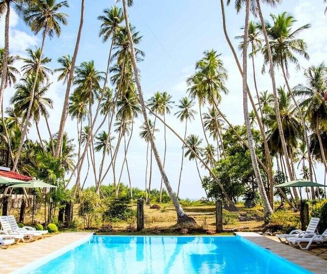 Green Parrot Beach Resort