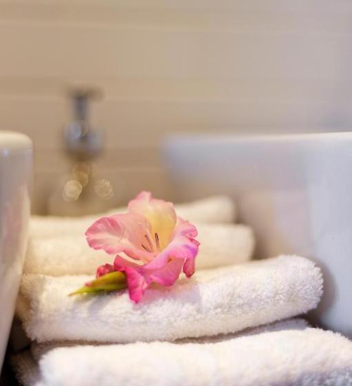 Fotos del hotel Grand Hôtel Urban:  12