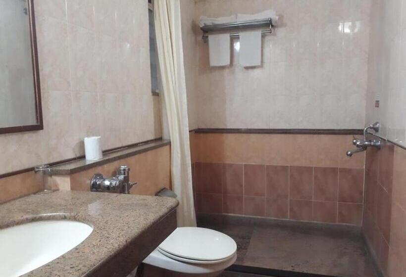 Fotos del hotel The Samrat Hotel Near Pune Railway Station:  9