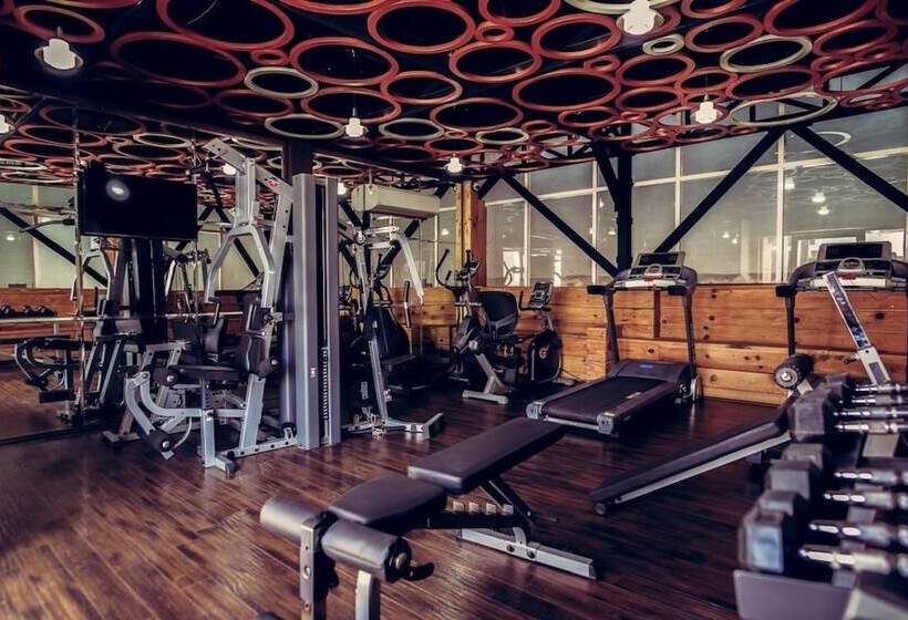 Fotos del hotel Shakun S And Resorts:  5