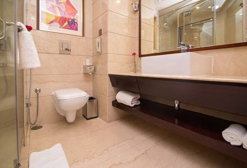 Fotos del hotel Shakun S And Resorts:  10