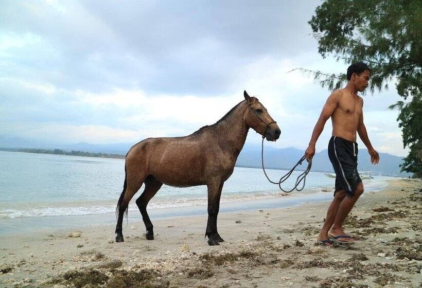 Fotos del hotel Villa Coco Republic:  3