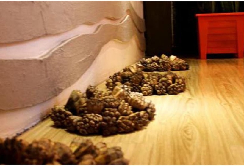 Fotos del hotel Whiteshell Island Hotel & Spa:  17