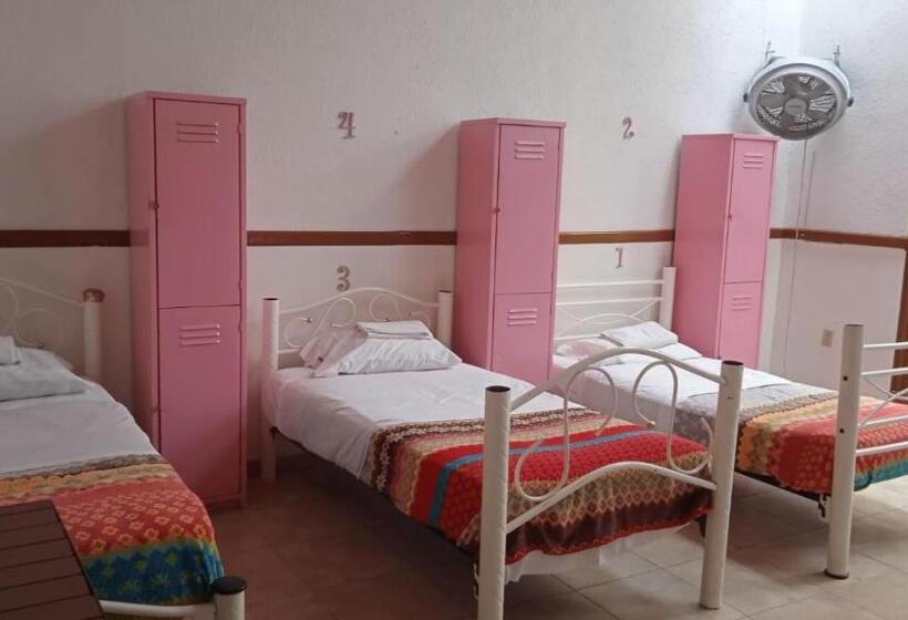 Fotos del hotel Hostal Santo Domingo:  14