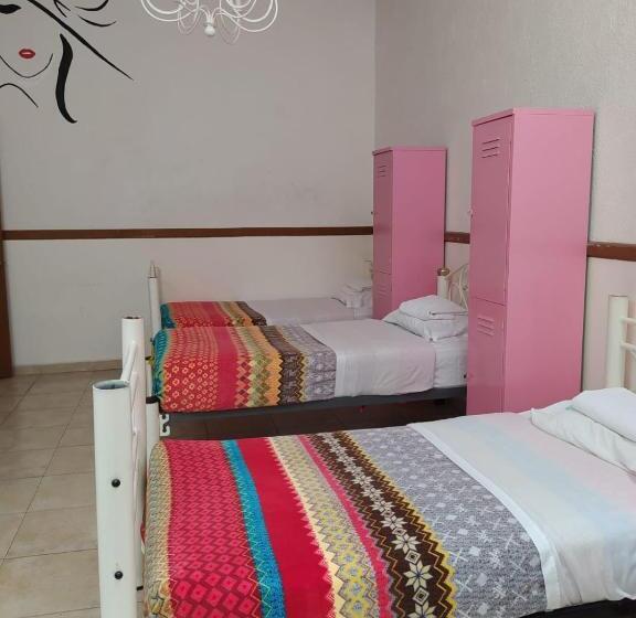Fotos del hotel Hostal Santo Domingo:  5