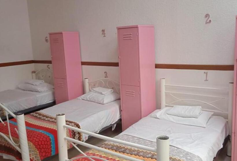 Fotos del hotel Hostal Santo Domingo:  19