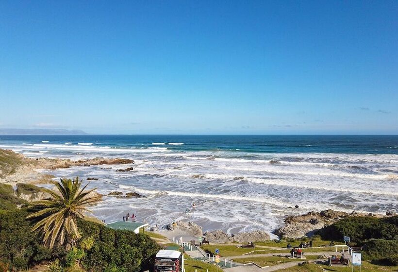 Fotos del hotel Hermanus Beachfront Lodge:  3