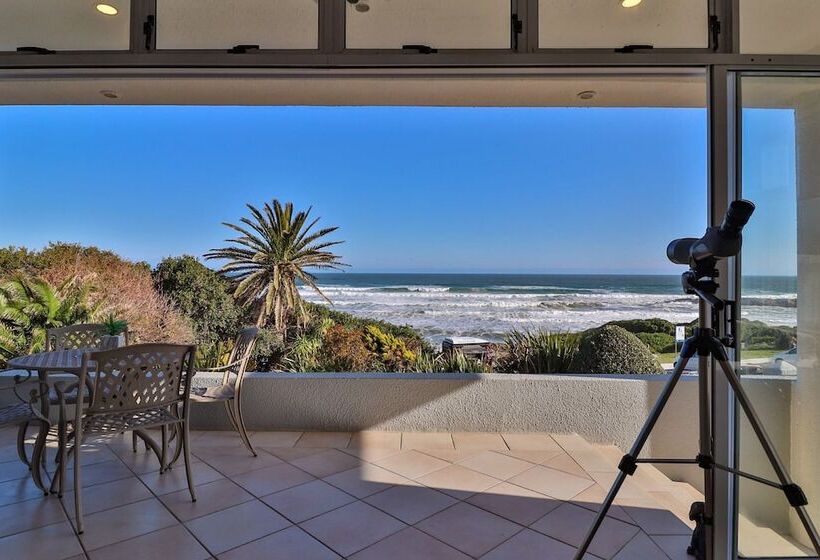 Fotos del hotel Hermanus Beachfront Lodge:  5