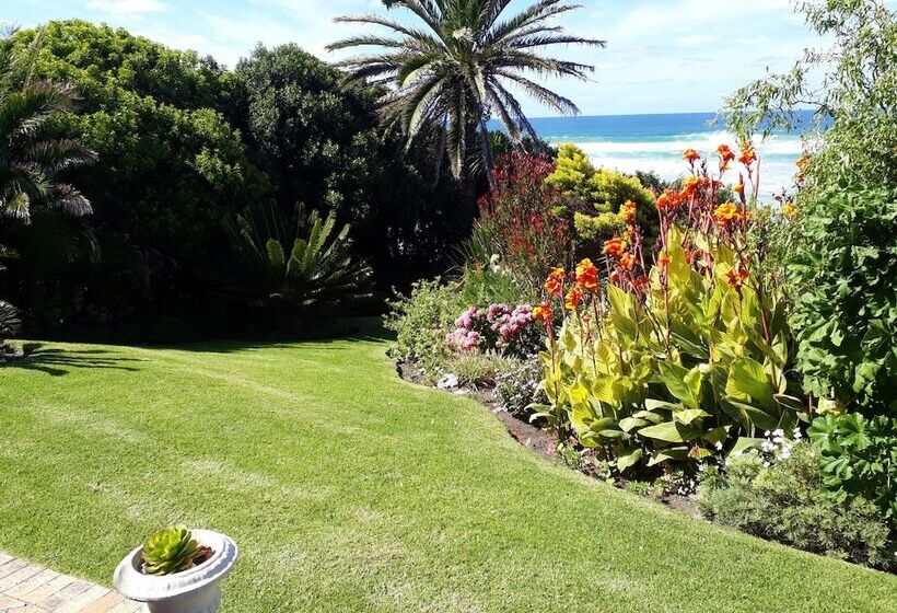 Fotos del hotel Hermanus Beachfront Lodge:  9