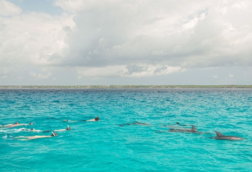 Fotos del hotel Matemwe Beach House:  6