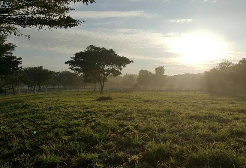 Fotos del hotel Thongsathit Hill Resort Khao Yai:  9