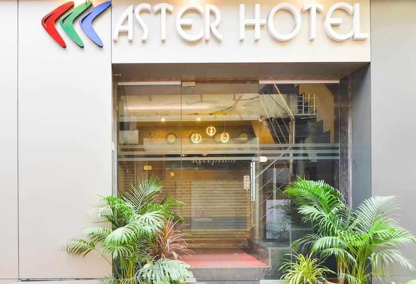 Fotos del hotel Treebo Aster:  6