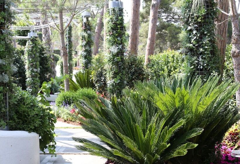 Fotos del hotel Alàbriga  & Home Suites Gl:  9