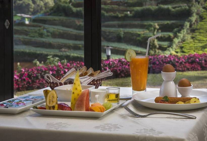 Fotos del hotel Cheriz Boutique Villa:  6