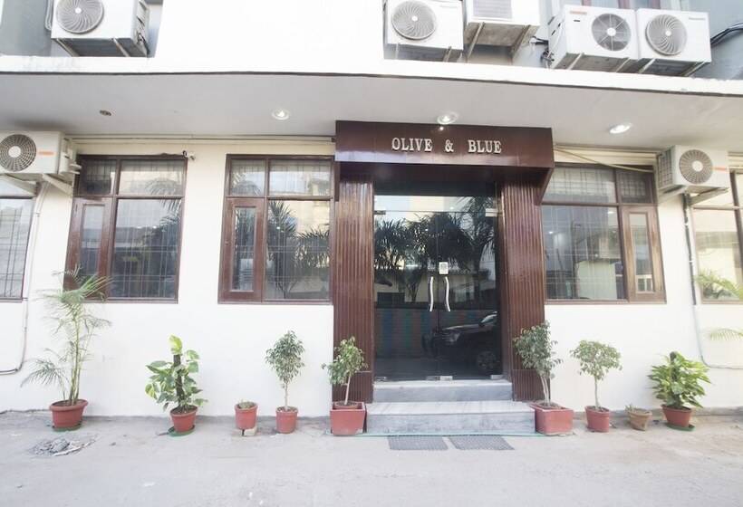 Fotos del hotel Airport  Olive & Blue:  5