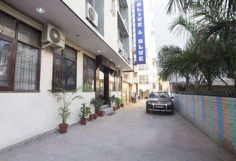 Airport  Olive & Blue