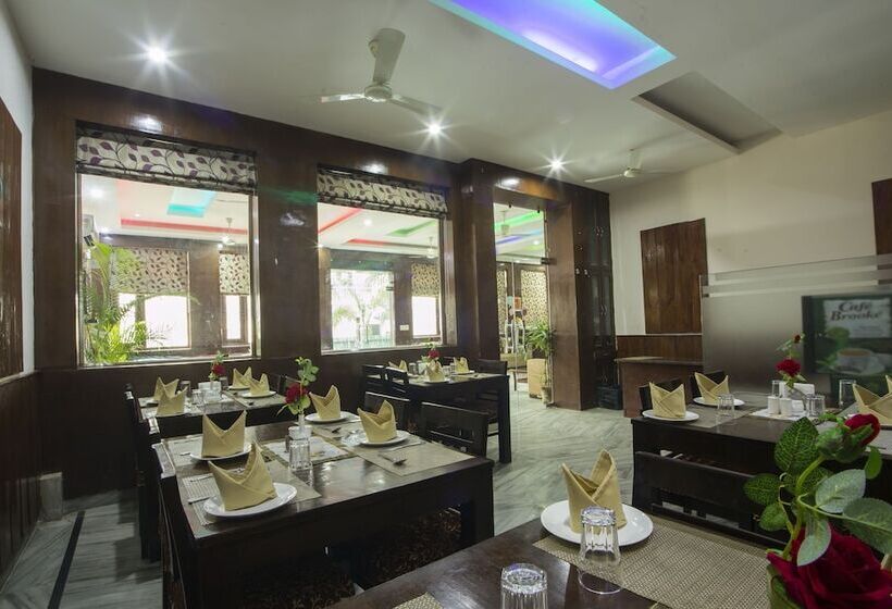 Fotos del hotel Airport  Olive & Blue:  4