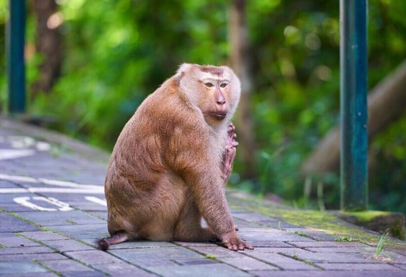 Fotos del hotel B2 Phuket Boutique & Budget Hotel:  5