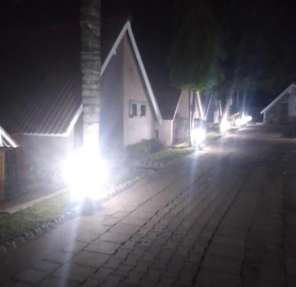 Fotos del hotel Sunset Junction Lodges & Tours:  16