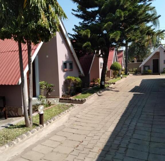 Fotos del hotel Sunset Junction Lodges & Tours:  15