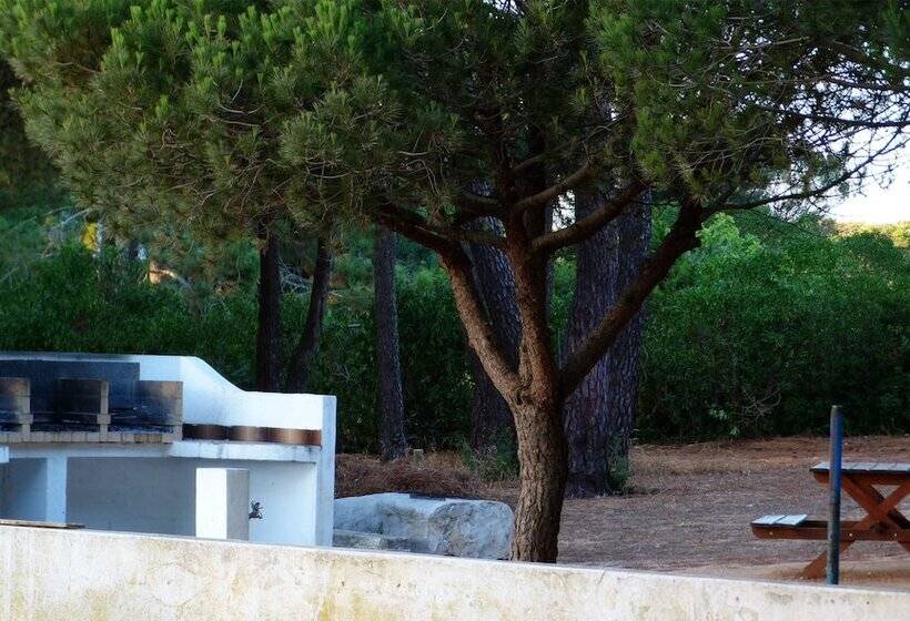 Fotos del hotel Parque De Campismo Orbitur Sagres:  12