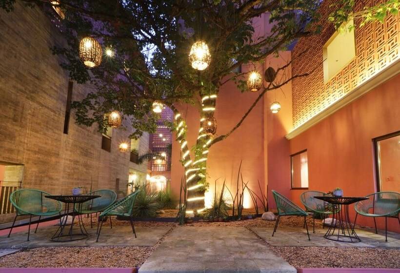 Fotos del hotel City Centro Oaxaca:  21