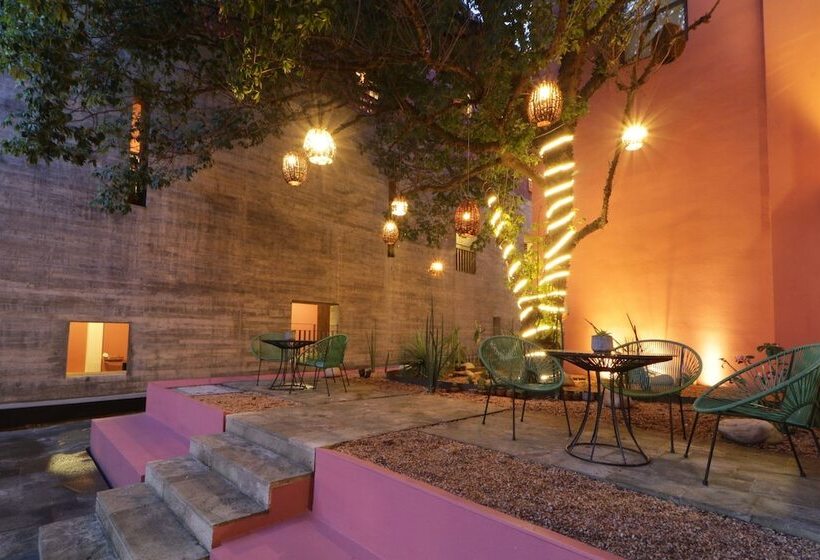 Fotos del hotel City Centro Oaxaca:  14