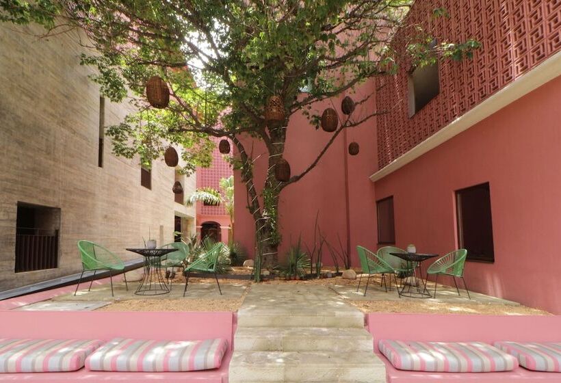 Fotos del hotel City Centro Oaxaca:  6