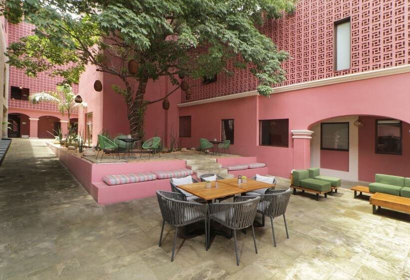 Fotos del hotel City Centro Oaxaca:  20