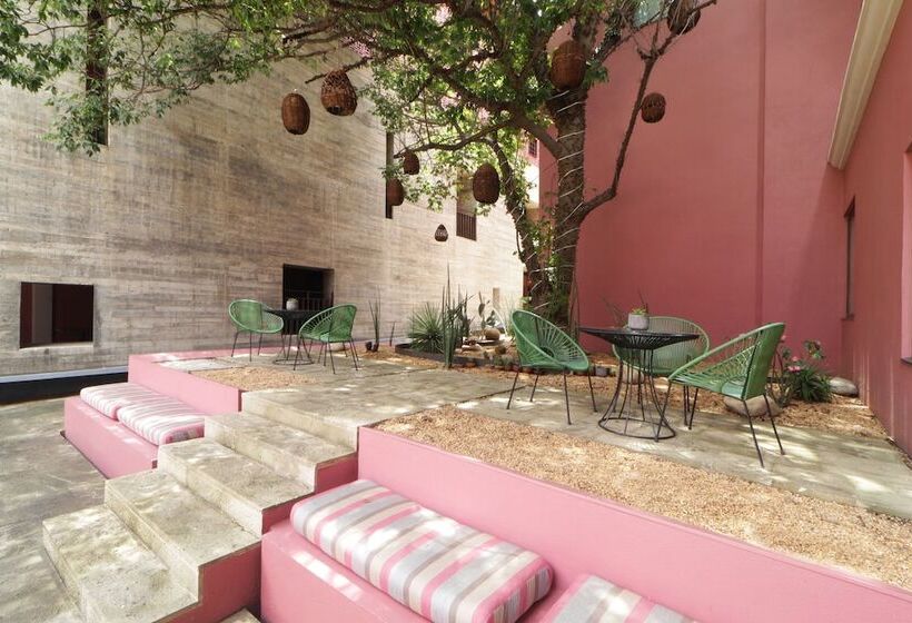 Fotos del hotel City Centro Oaxaca:  16