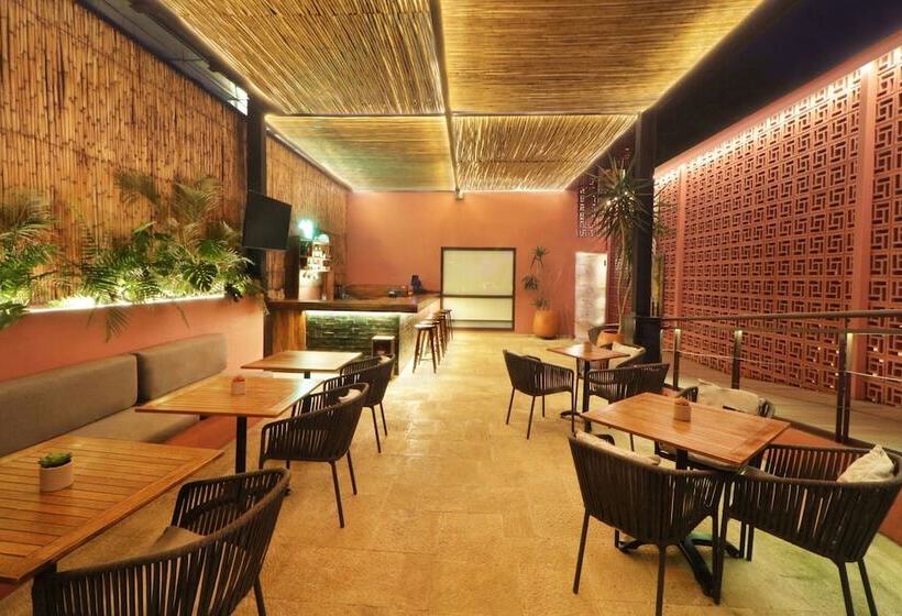 Fotos del hotel City Centro Oaxaca:  4