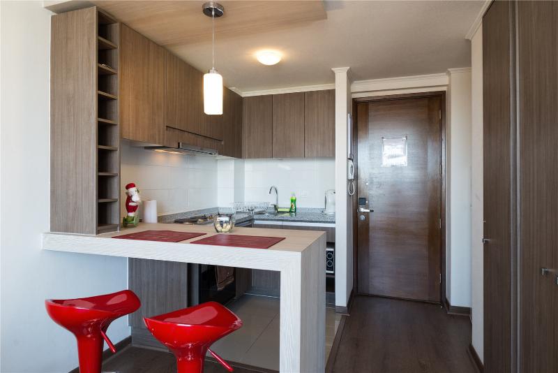 Fotos del hotel My Luxapart Arturo Prat:  11