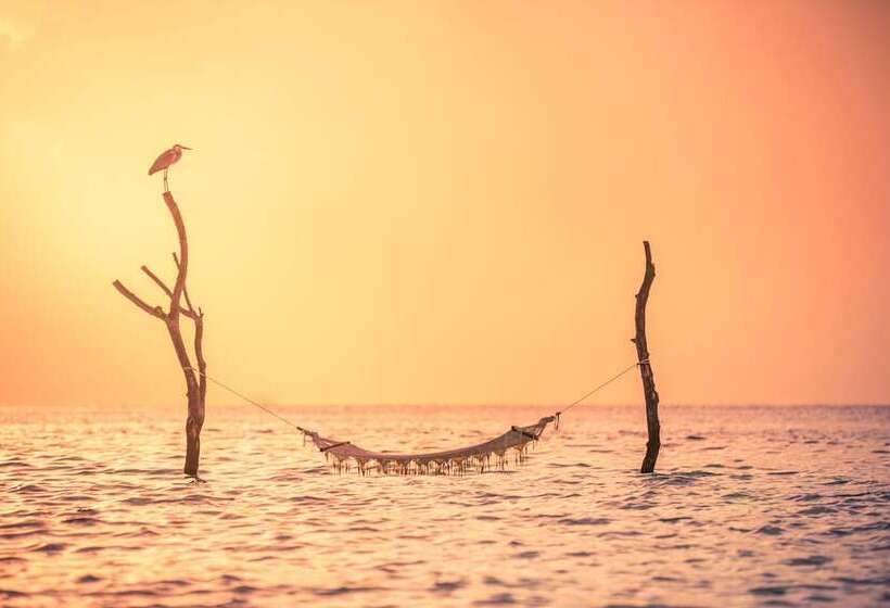 Fotos del hotel Sun Aqua Vilu Reef:  7