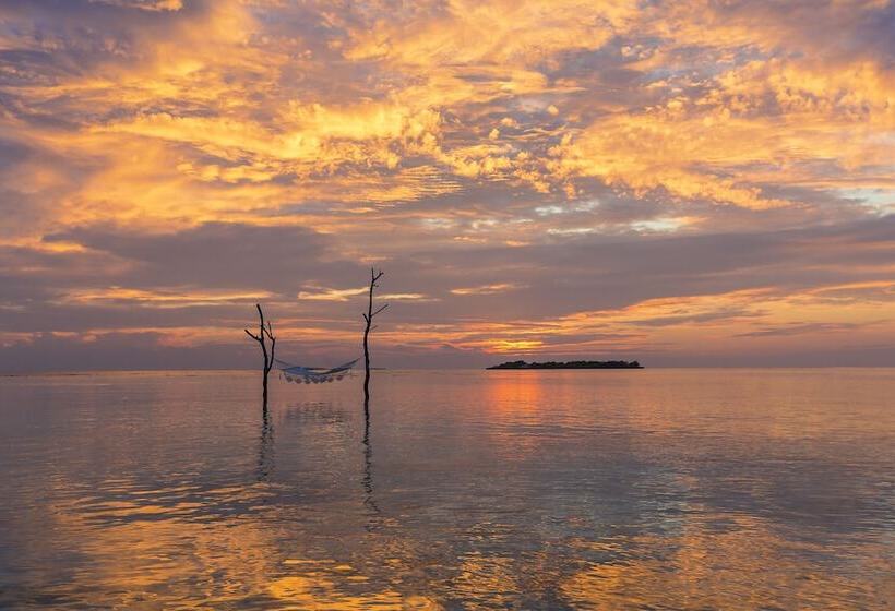 Fotos del hotel Sun Aqua Vilu Reef:  19