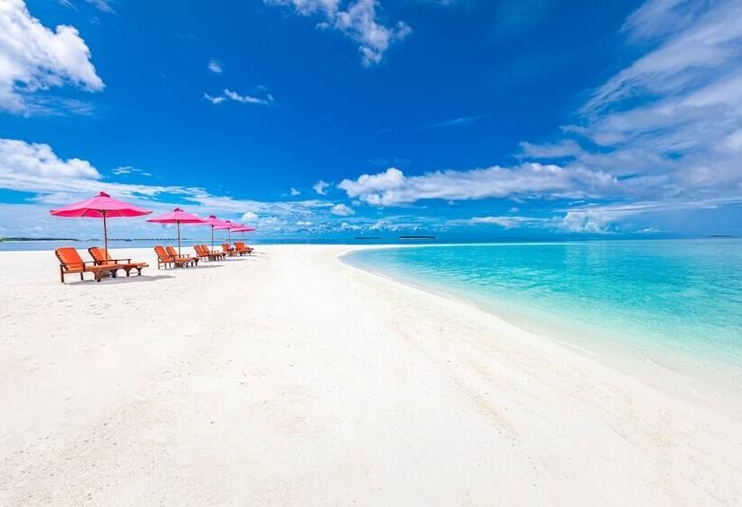 Fotos del hotel Sun Aqua Vilu Reef:  10