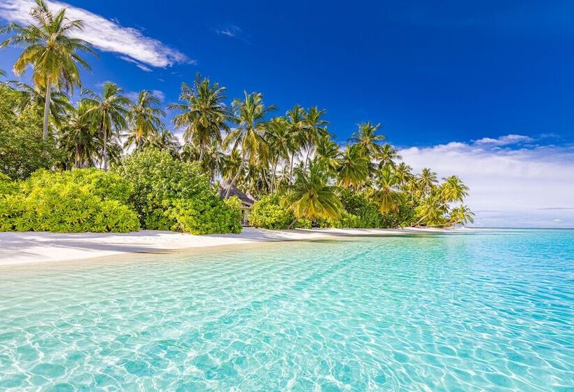 Fotos del hotel Sun Aqua Vilu Reef:  21