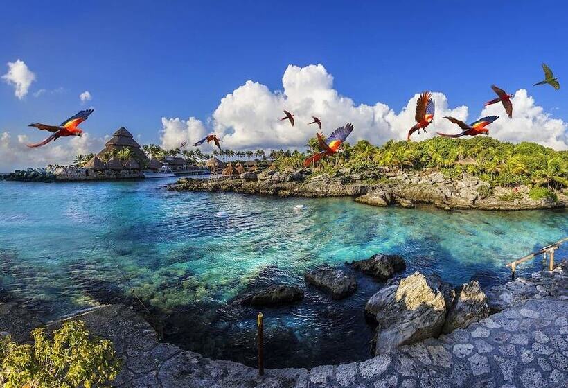 Fotos del hotel Maya Suites By Lhmg:  21