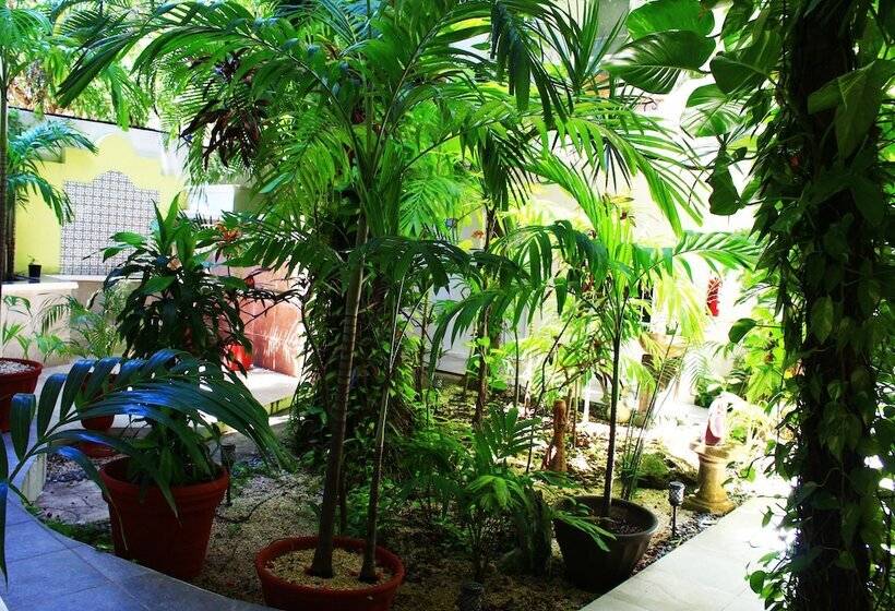 Fotos del hotel Maya Suites By Lhmg:  2