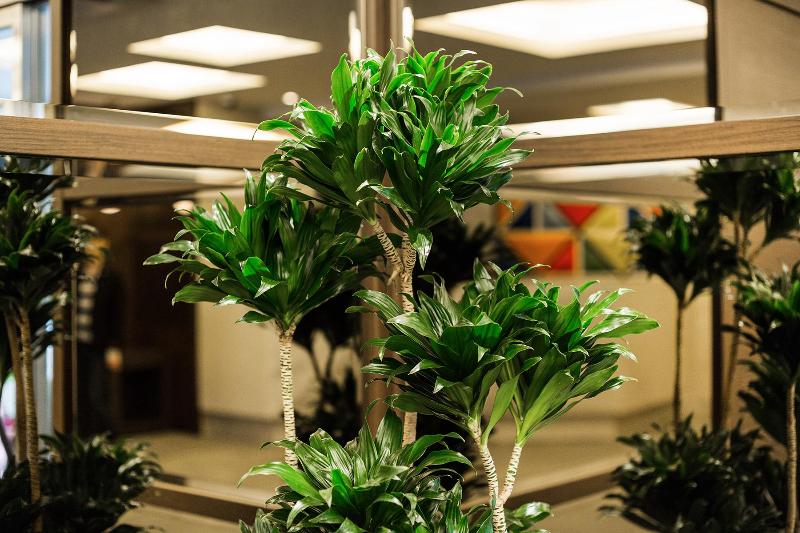 Fotos del hotel M S Est Shijokarasuma:  5