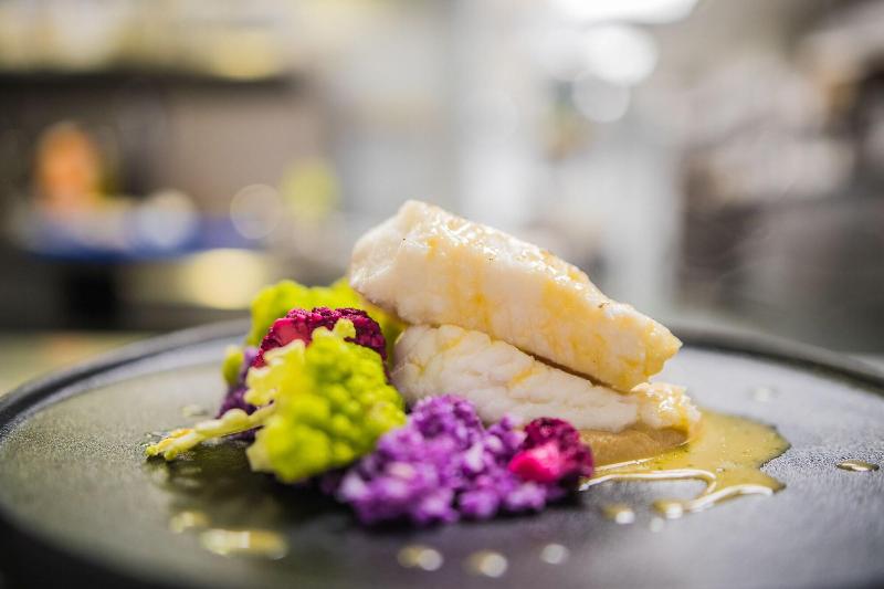 Fotos del hotel Opus Xvi:  17