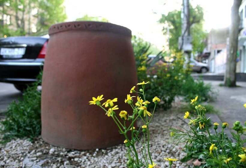 Fotos del hotel Salli:  11