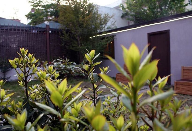 Fotos del hotel Salli:  6