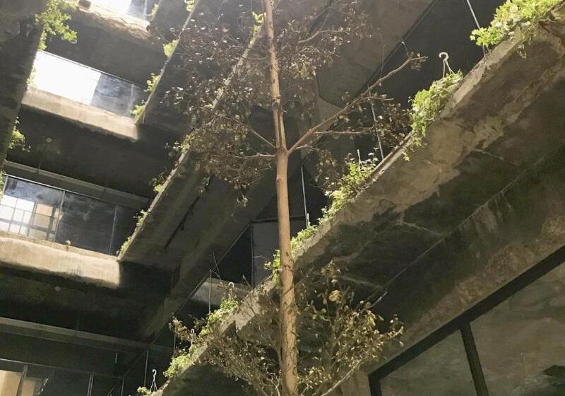 Fotos del hotel Sof:  3