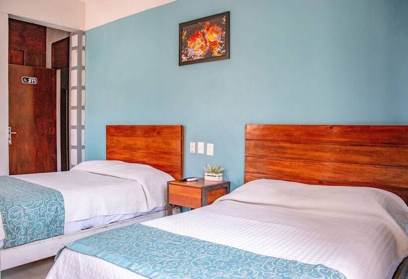 Fotos del hotel Acapulco Amor:  21