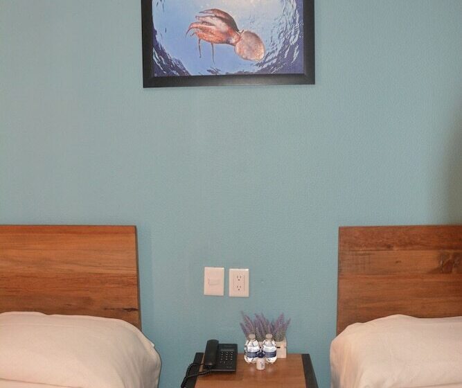 Fotos del hotel Acapulco Amor:  20