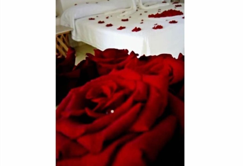 Fotos del hotel Piccolo Peccato:  8