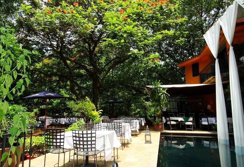 Fotos del hotel Piccolo Peccato:  23