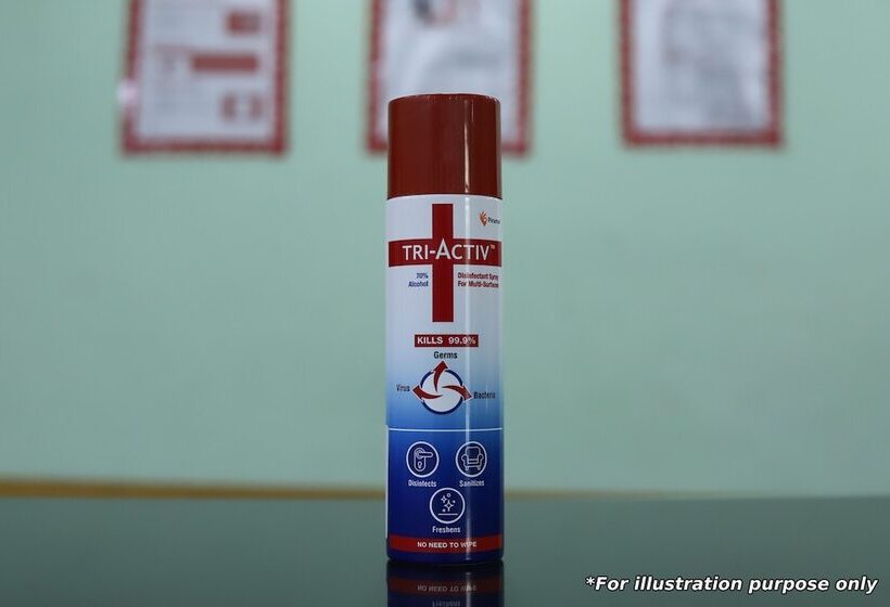 Fotos del hotel Oyo 10422 Hotel Udai Garh Palace:  24