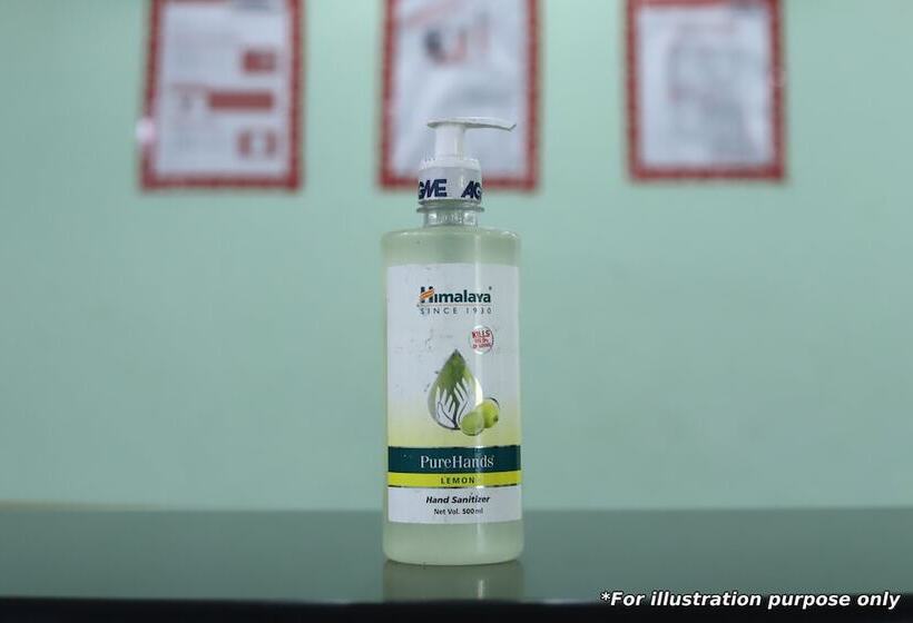 Fotos del hotel Oyo 10422 Hotel Udai Garh Palace:  22