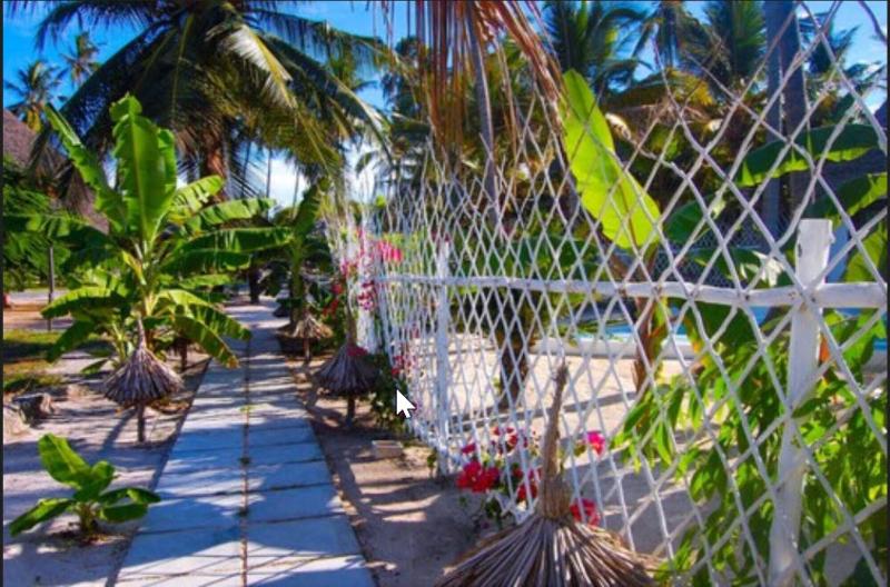 Fotos del hotel Blue Moon Resort:  7